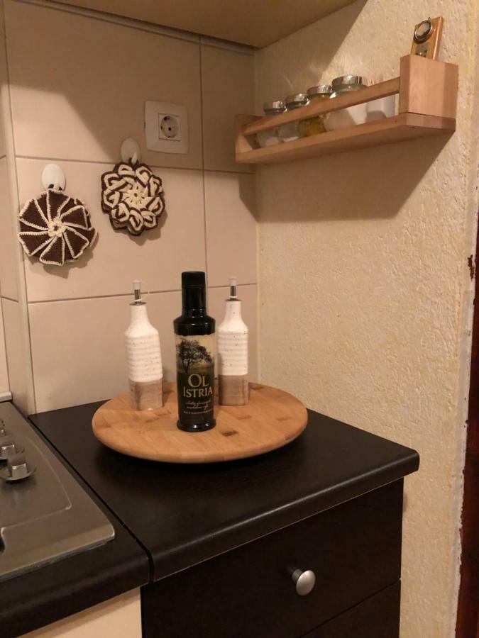 Teta Jana Apartment Smoljanci Luaran gambar
